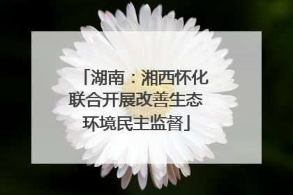 湖南：湘西怀化联合开展改善生态环境民主监督