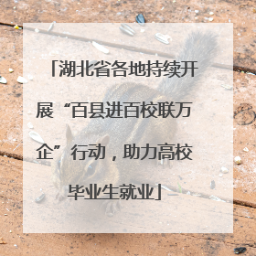 湖北省各地持续开展“百县进百校联万企”行动，助力高校毕业生就业