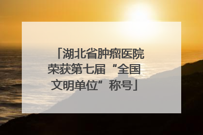 湖北省肿瘤医院荣获第七届“全国文明单位”称号