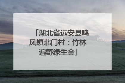湖北省远安县鸣凤镇北门村：竹林遍野绿生金