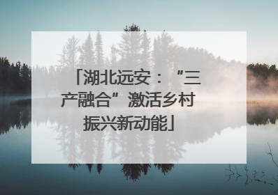 湖北远安：“三产融合”激活乡村振兴新动能