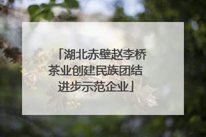 湖北赤壁赵李桥茶业创建民族团结进步示范企业