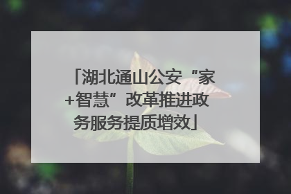 湖北通山公安“家+智慧”改革推进政务服务提质增效