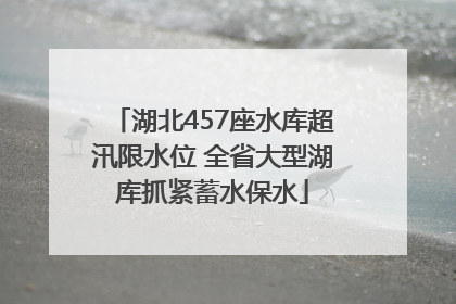 湖北457座水库超汛限水位 全省大型湖库抓紧蓄水保水
