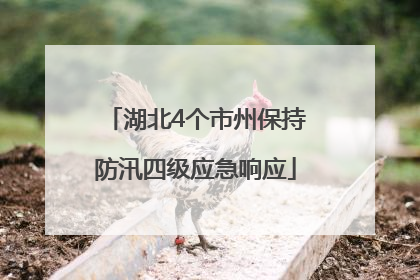 湖北4个市州保持防汛四级应急响应