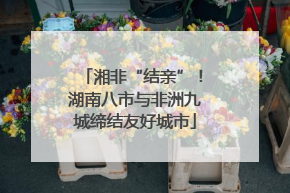 湘非“结亲”！湖南八市与非洲九城缔结友好城市