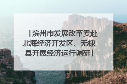 滨州市发展改革委赴北海经济开发区、无棣县开展经济运行调研
