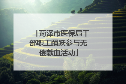 菏泽市医保局干部职工踊跃参与无偿献血活动