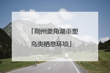 荆州菱角湖重塑鸟类栖息环境