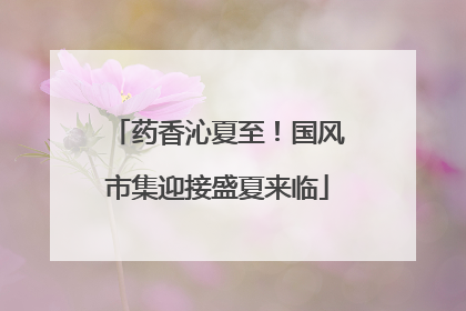 药香沁夏至！国风市集迎接盛夏来临