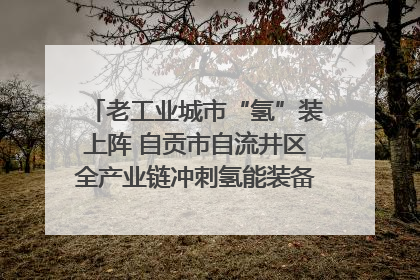 老工业城市“氢”装上阵 自贡市自流井区全产业链冲刺氢能装备制造新高地｜美好生活有“盐”味