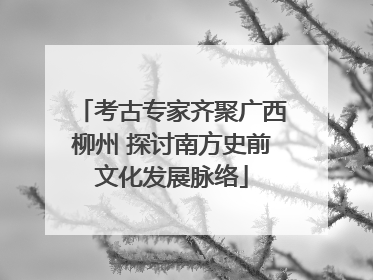 考古专家齐聚广西柳州 探讨南方史前文化发展脉络