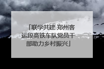 联学共建 郑州客运段高铁车队党员干部助力乡村振兴