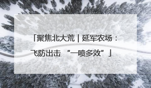 聚焦北大荒｜延军农场：飞防出击 “一喷多效”