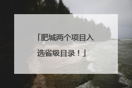 肥城两个项目入选省级目录！