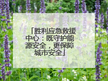 胜利应急救援中心：既守护能源安全，更保障城市安全