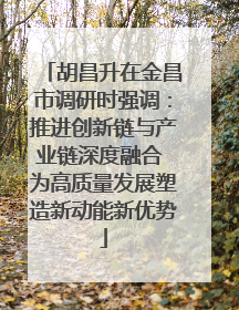 胡昌升在金昌市调研时强调：推进创新链与产业链深度融合 为高质量发展塑造新动能新优势