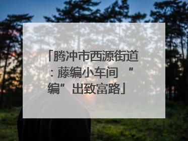 腾冲市西源街道：藤编小车间 “编”出致富路