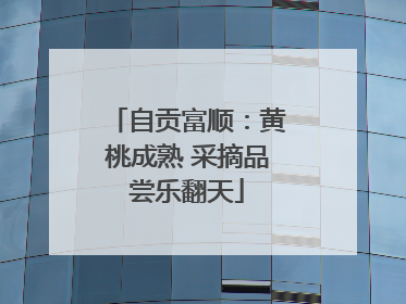 自贡富顺：黄桃成熟 采摘品尝乐翻天