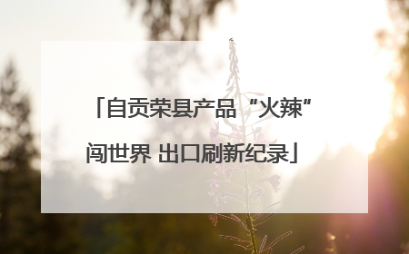 自贡荣县产品“火辣”闯世界 出口刷新纪录