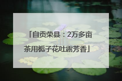 自贡荣县：2万多亩茶用栀子花吐露芳香