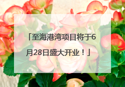 至海港湾项目将于6月28日盛大开业！