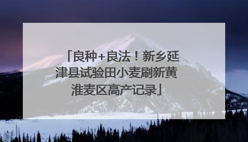 良种+良法！新乡延津县试验田小麦刷新黄淮麦区高产记录