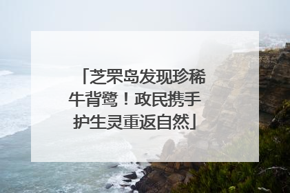 芝罘岛发现珍稀牛背鹭！政民携手护生灵重返自然