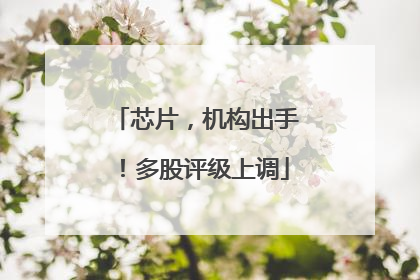芯片，机构出手！多股评级上调