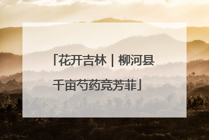花开吉林｜柳河县千亩芍药竞芳菲