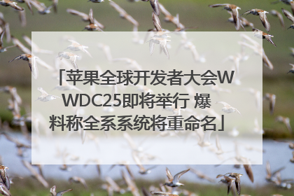 苹果全球开发者大会WWDC25即将举行 爆料称全系系统将重命名