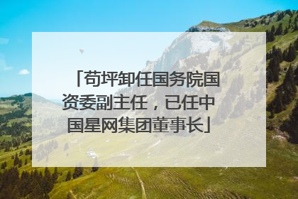 苟坪卸任国务院国资委副主任，已任中国星网集团董事长