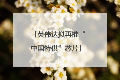 英伟达拟再推“中国特供”芯片
