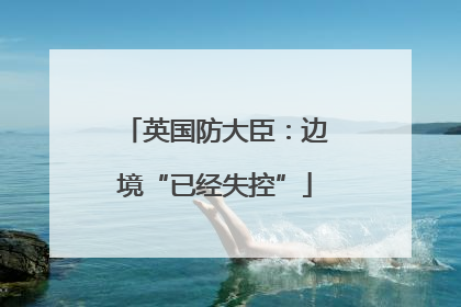 英国防大臣：边境“已经失控”