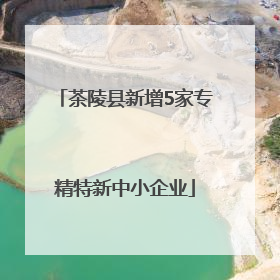 茶陵县新增5家专精特新中小企业