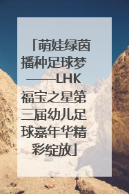 萌娃绿茵播种足球梦——LHK福宝之星第三届幼儿足球嘉年华精彩绽放