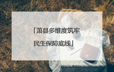 萧县多维度筑牢民生保障底线