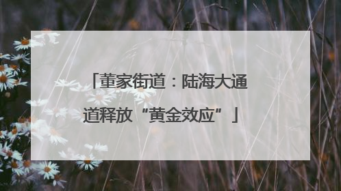 董家街道：陆海大通道释放“黄金效应”