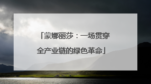 蒙娜丽莎：一场贯穿全产业链的绿色革命