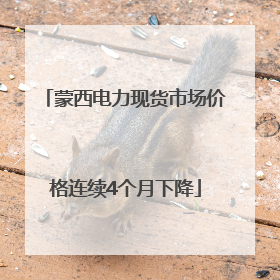 蒙西电力现货市场价格连续4个月下降