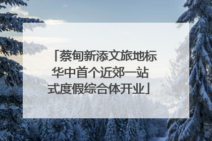 蔡甸新添文旅地标 华中首个近郊一站式度假综合体开业