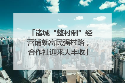 诸城“整村制”经营铺就富民强村路，合作社迎来大丰收