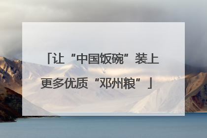 让“中国饭碗”装上更多优质“邓州粮”