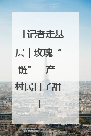 记者走基层｜玫瑰“链”三产 村民日子甜