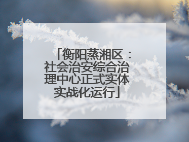 衡阳蒸湘区：社会治安综合治理中心正式实体实战化运行