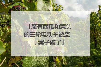 装有西瓜和蒜头的三轮电动车被盗，案子破了