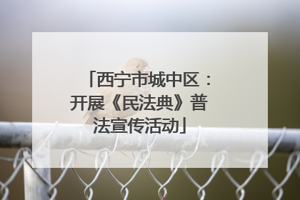 西宁市城中区：开展《民法典》普法宣传活动