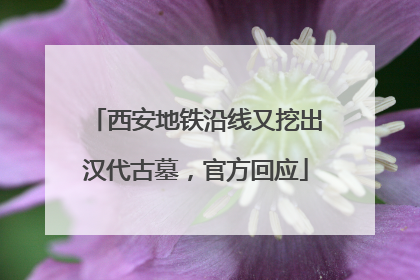 西安地铁沿线又挖出汉代古墓，官方回应