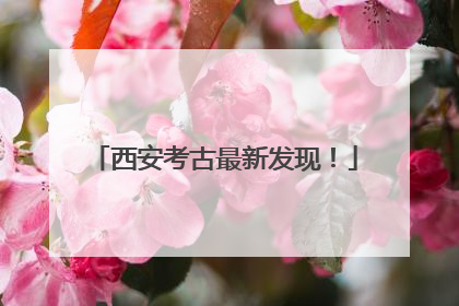 西安考古最新发现！