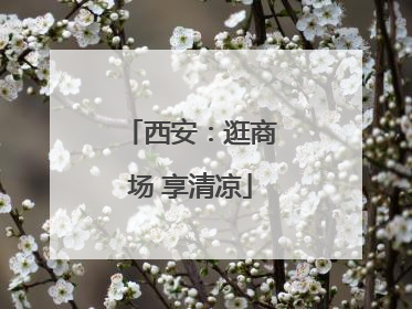 西安：逛商场 享清凉
